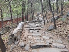 -阳台山自然风景区