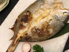 龙利鱼-菊上料理(蜀山银泰百货店)