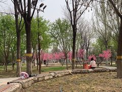 -回龙观体育文化公园
