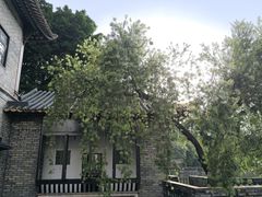 -东莞市可园博物馆