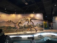 -辽宁古生物博物馆