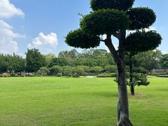 -广东圆玄道观