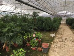 -呼吸森林·生态农庄农家乐私房菜