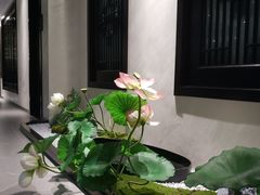-欣悦府(城建大厦C座店)