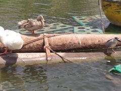 -南翠屏公园