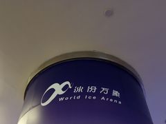 -冰纷万象滑冰场(二七万象城店)