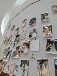 -星光兔·西扶海棠·写真馆(景德镇店)
