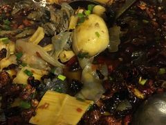 -黑竹香鸡(营和巷店)