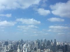 iphone_upload_pic-上海浦东丽思卡尔顿酒店