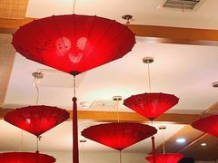 -新凯里酸汤鱼(飞山街店)