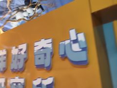 -烟台海昌鲸鲨海洋公园