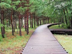 -北极村旅游风景区