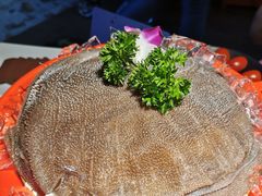 比脸大的毛肚-锅说大脸毛肚重庆老火锅(佐阾店)