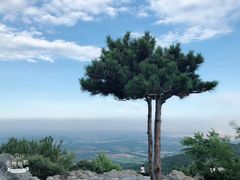 -香山公园