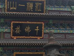 -汤山公园