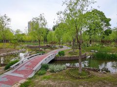 -莲花池公园