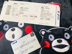 -全日本空输株式会社(上海办事处)