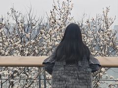 -Nirvana Cafe&Bar(北仓文创街区店)