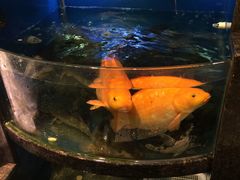 -宁波汉通海鲜大酒店(江湾店)