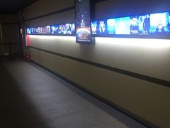 -华美国际影城(旧宫永辉店)
