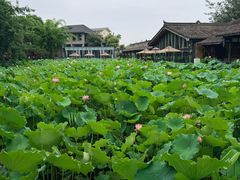 -莫催咖啡