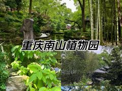 -南山植物园