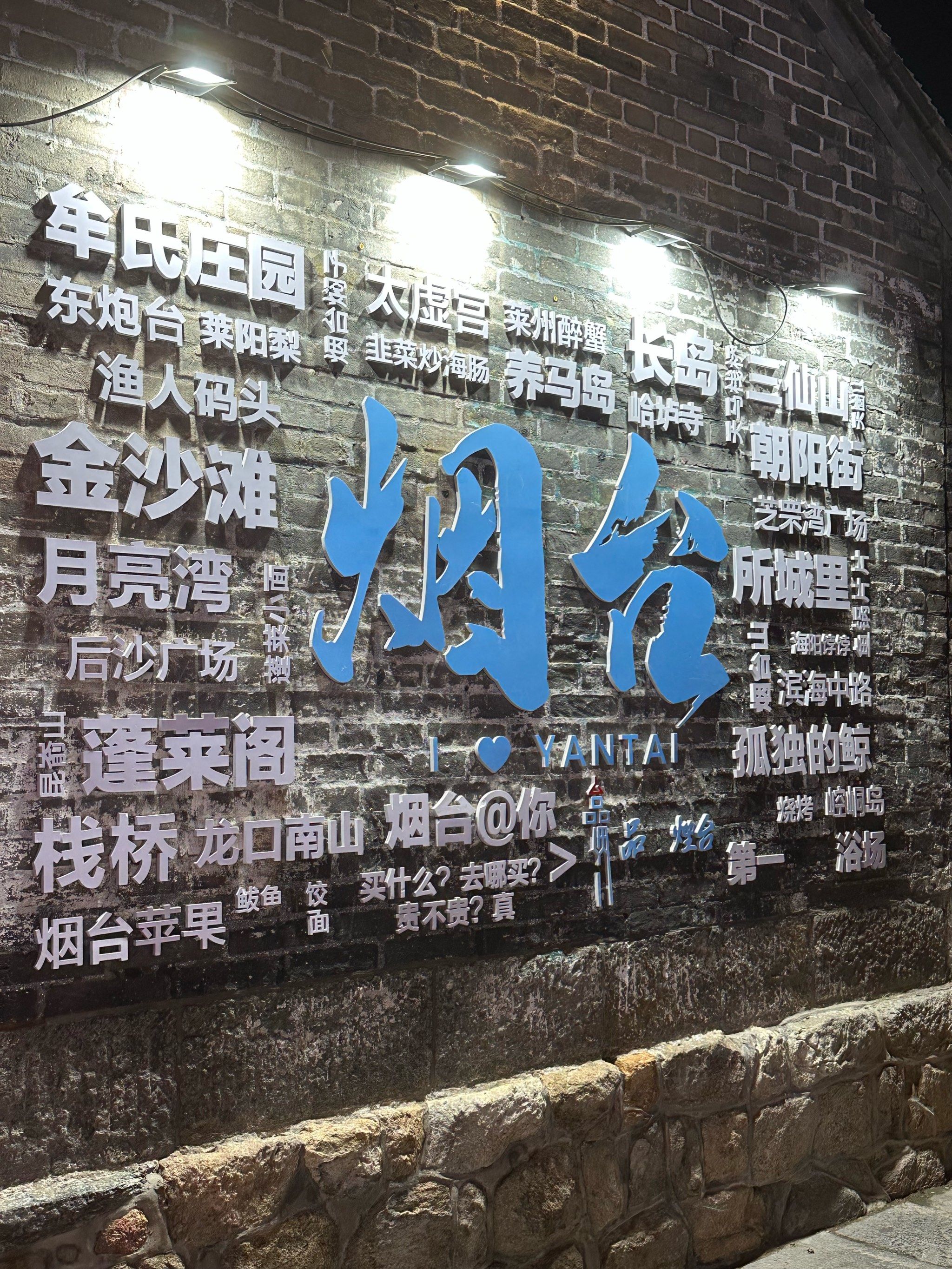 东炮台海豹生态公园喂海豹(门票30元/人,送海豹食)海豹们的松弛感