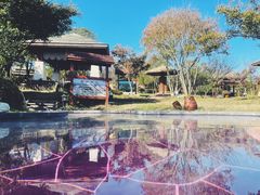 -东海森林温泉度假酒店