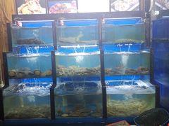 水产区-老东镇啤酒屋海鲜加工·蒸汽海鲜·海鲜烧烤(台东店)