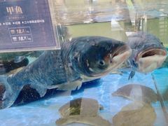 -旺顺阁海鲜广场(亚运村店)