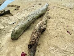 -卡马拉海滩