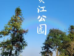 -贤江公园