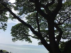 -网红落日悬崖餐厅 The Sky Gallery