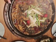 -老板恋上鱼(环山路店)