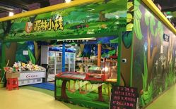 -维佳童话镇演出现场(徐东店)