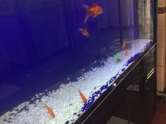 -惠宾饭庄(千禧店)