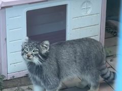 -青藏高原野生动物园