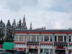 -龙华素斋(龙华路店)