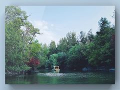 -上海吴淞炮台湾国家湿地公园