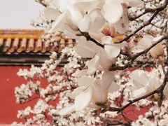 -北京市劳动人民文化宫(太庙)