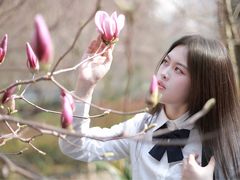 -常德桃花源景区