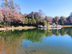 -蝴蝶泉公园