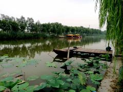 -白洋淀景区