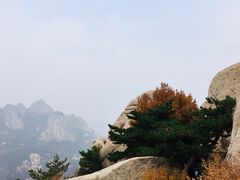 -崂山仰口游览区