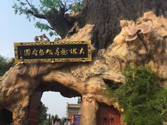 -大槐树寻根祭祖园