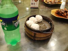 大力丸-风波庄(罍街分舵)