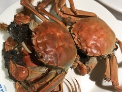 -星伦多 自助料理(圆融店)