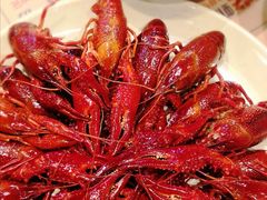 -靓靓蒸虾·头牌蒸虾(南山桂庙店)