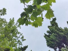 -烟台山景区
