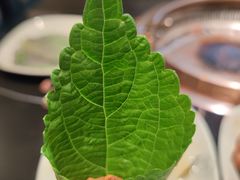 -梨花自助烤肉(西三旗万象汇黑金店)